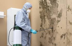 Best Forensic Mold Investigation  in Montrose, NY